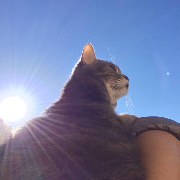 31a1fc55 d3a9 4300 8a73 122a87a98da8