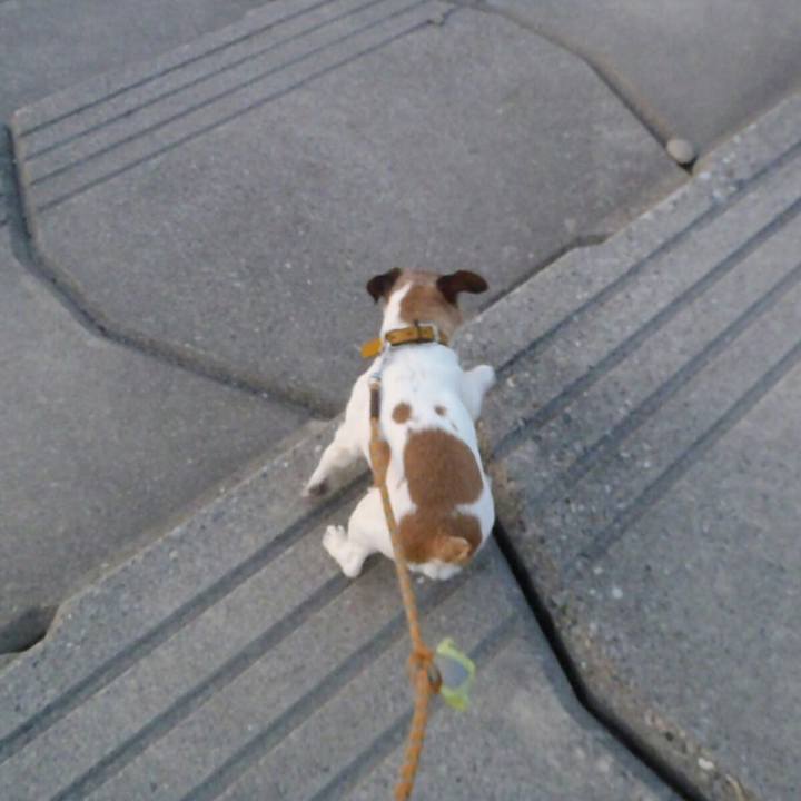 31a1fd28 6cf9 4098 b797 577515e4f351