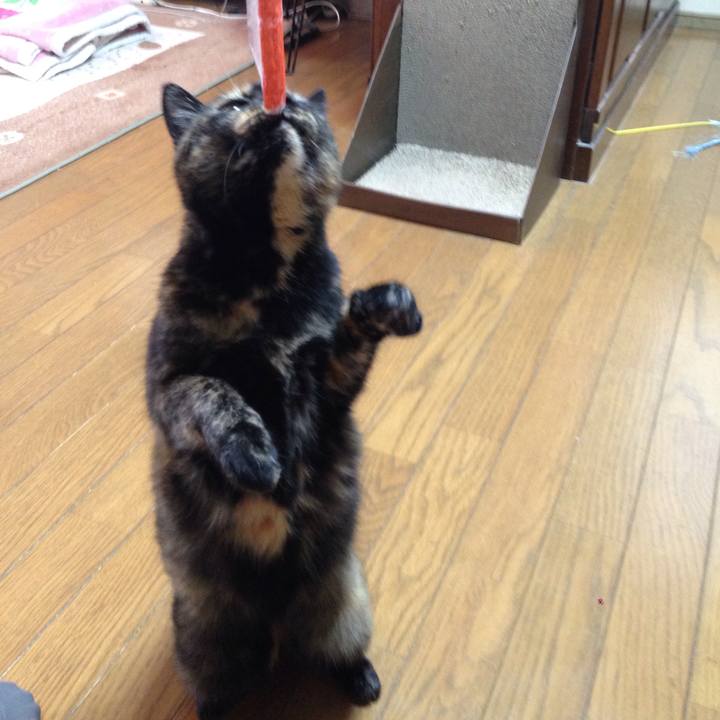 31a21e06 a6fd 4ec6 9822 0bb76487fb3b