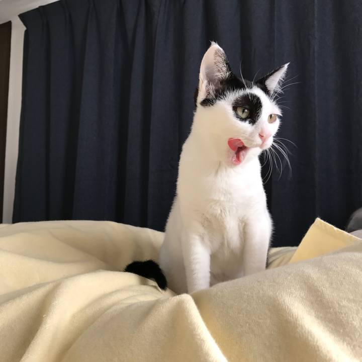 31a22926 7b9c 4237 a5b6 27fbedcc045b