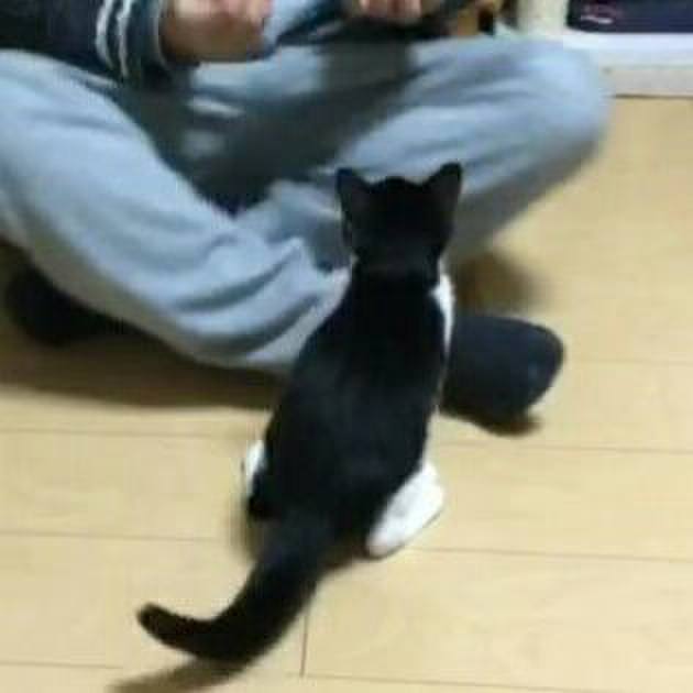 31a2c4d4 1a88 4e6e a41f 190c667b14bf