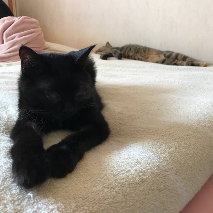 31a2f15d 9b39 40f2 b780 4247b0e0ad19