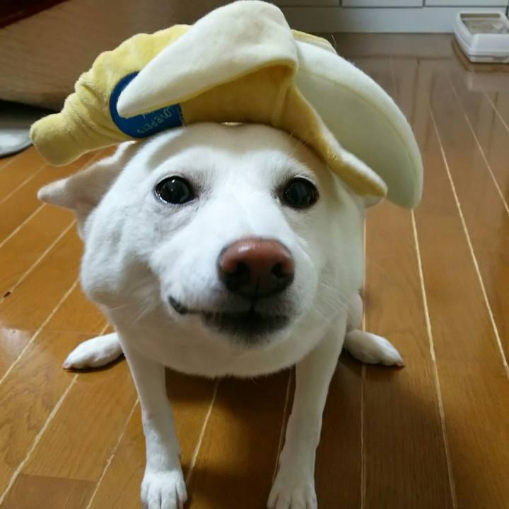 31a325ab ab7b 48fb a6cc 2f3c3a132f5b