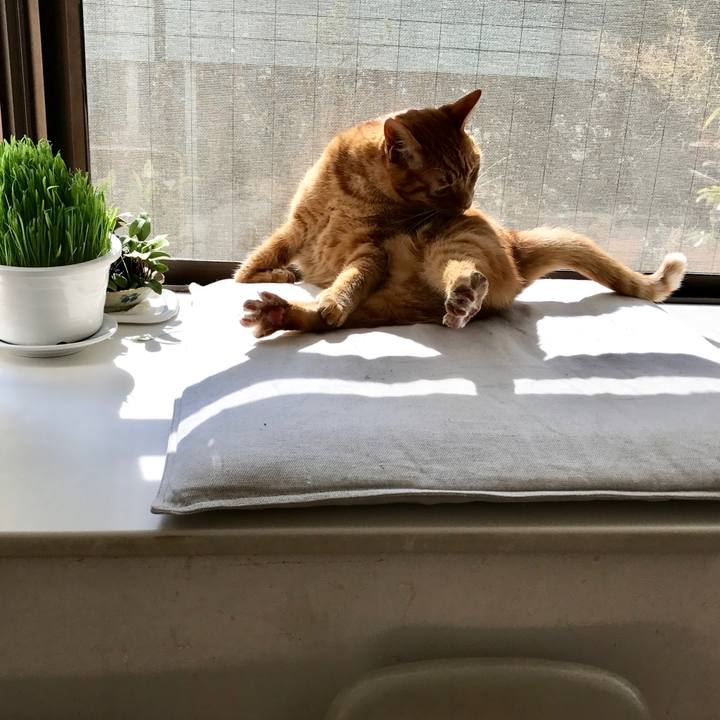 31a34757 cf0e 4a62 9f69 a4f320581fb0