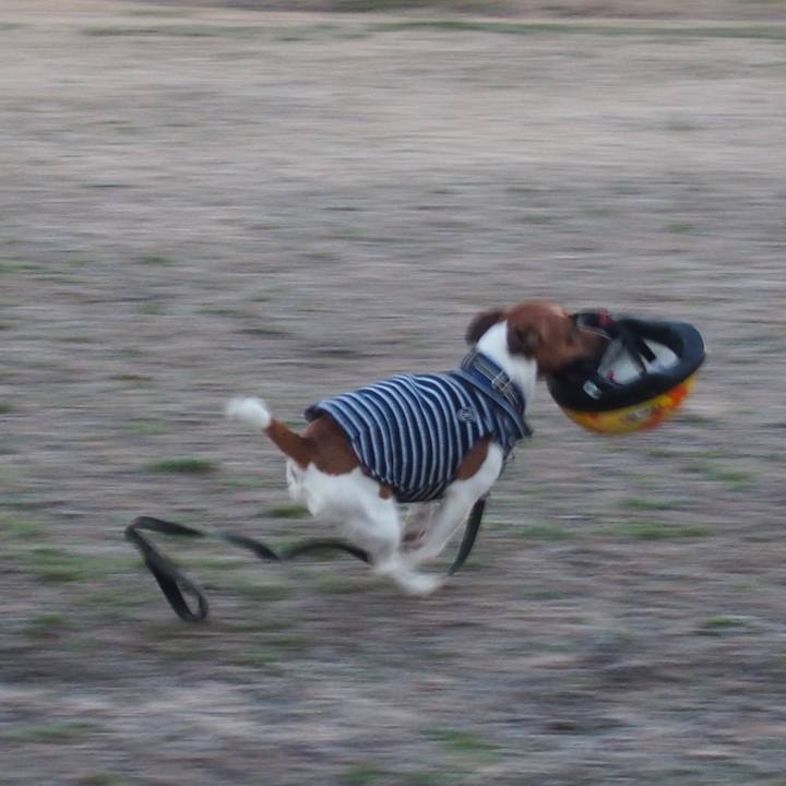 31a39d29 386a 49d7 914a 73c98270382d