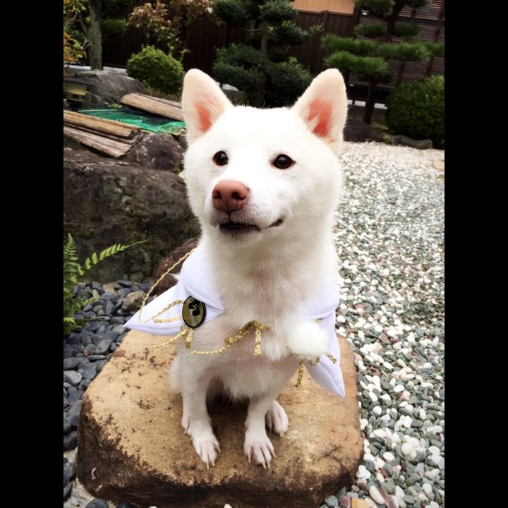 31a3e690 2bef 4695 86aa 719480ef430e