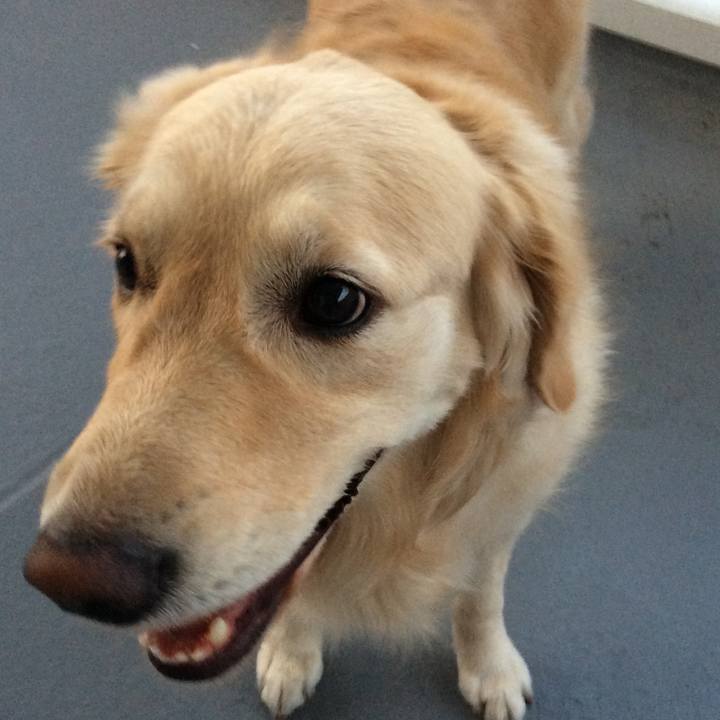 31a4f09f 68b3 45aa a50f 6b3e523ed51e