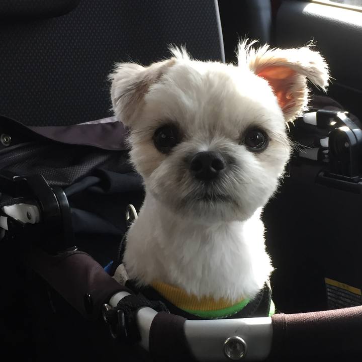 31a4fb34 85b9 439f 99d3 4822d2c3df0a