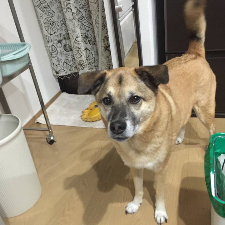 31a511dd 4ca9 4356 a469 e4611efccb26