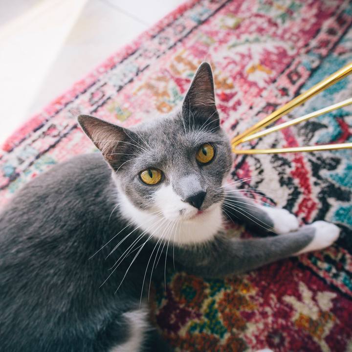 31a589ac 4810 47aa 997e e6975c30db9b