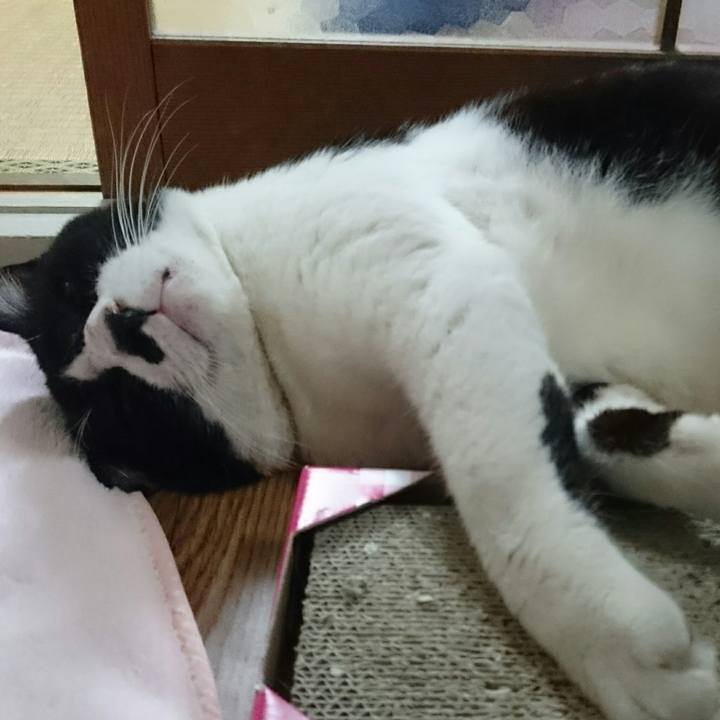 31a63a5c 8b38 4ee8 b57a 28a6bb54d315