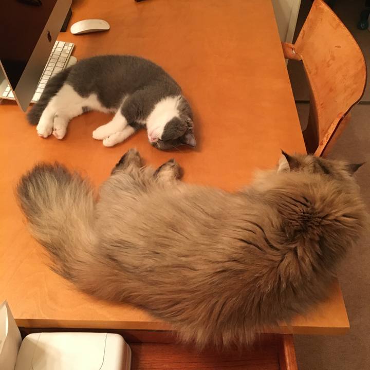 31a68c1b b03d 4b7a aaba 78b15517f2f8