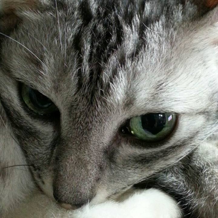 31a70fe7 fecf 4ef8 b2a0 bb5b88fc95de