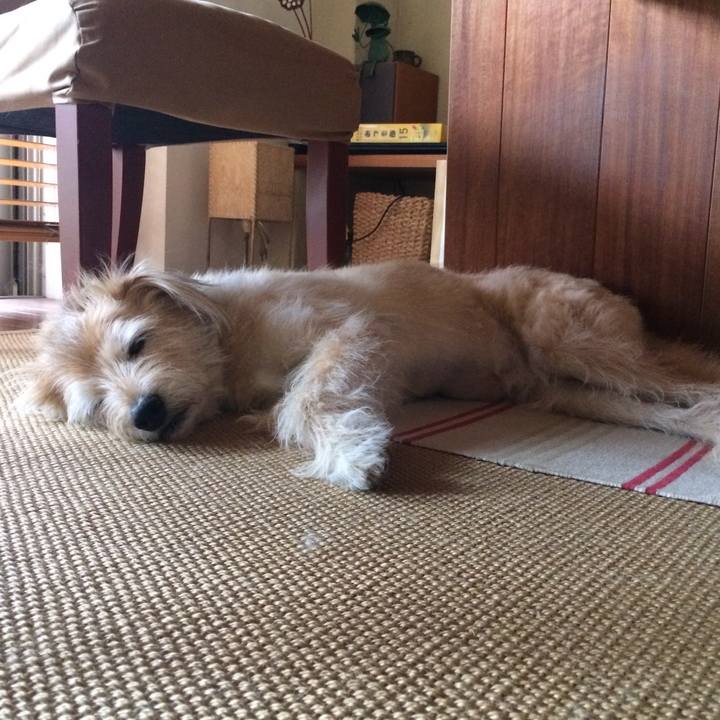 31a75d84 0d62 4b76 b1ba e8749c15fb6e