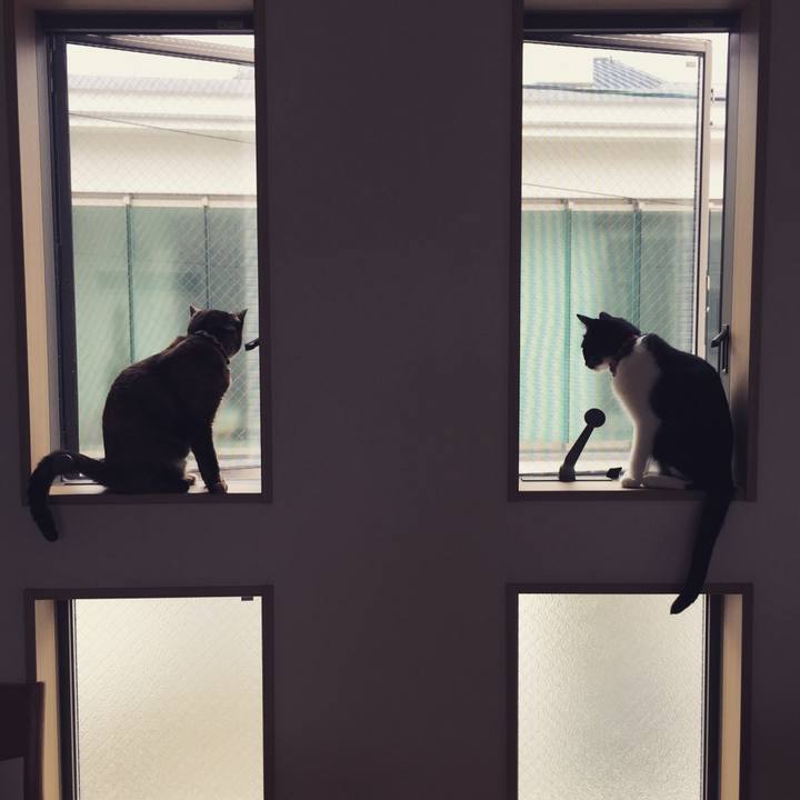 31a7abe7 0982 4513 8e2e d4d03c976fe0