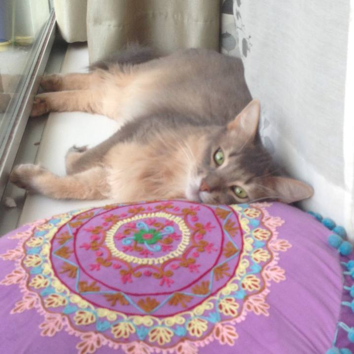 31a80d08 5905 4683 bdfd 6f563e915a8e