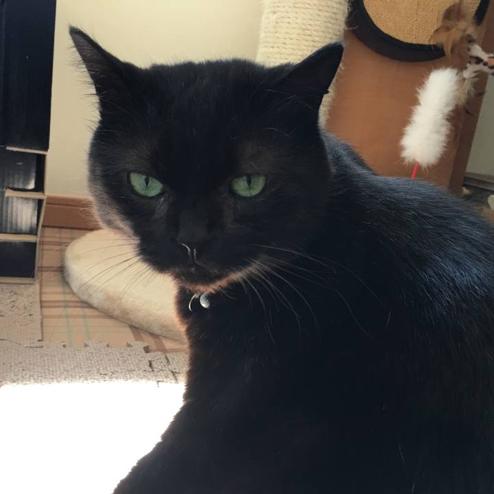 31a86b9d 30d0 4dac aa05 60ebf08986d3