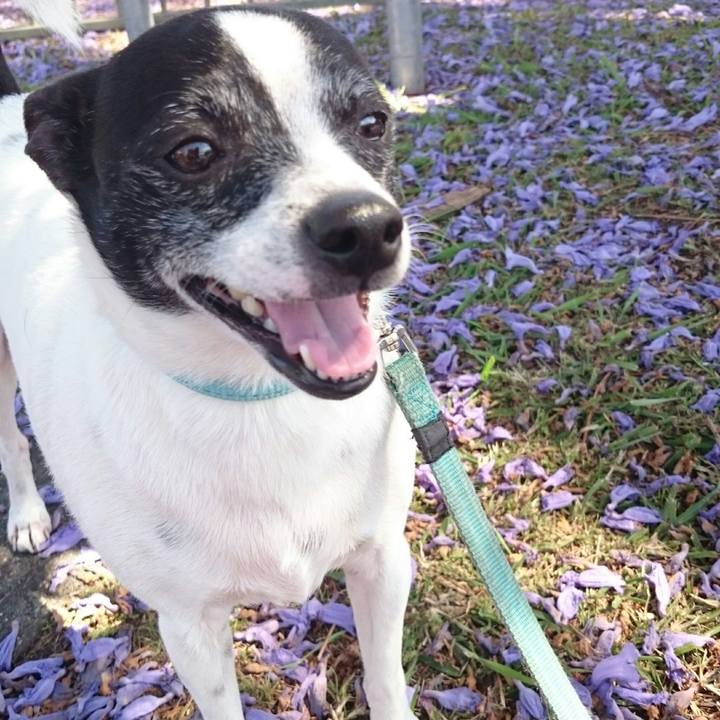 31a86d5f 5043 49bf 8ce7 35dc465e8084