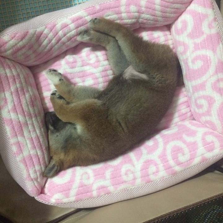 31a8b459 9018 4a31 ab5d 7a54db8e10dd