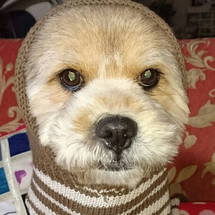 31aa1058 c3e6 45e1 9385 6d94106b94e4