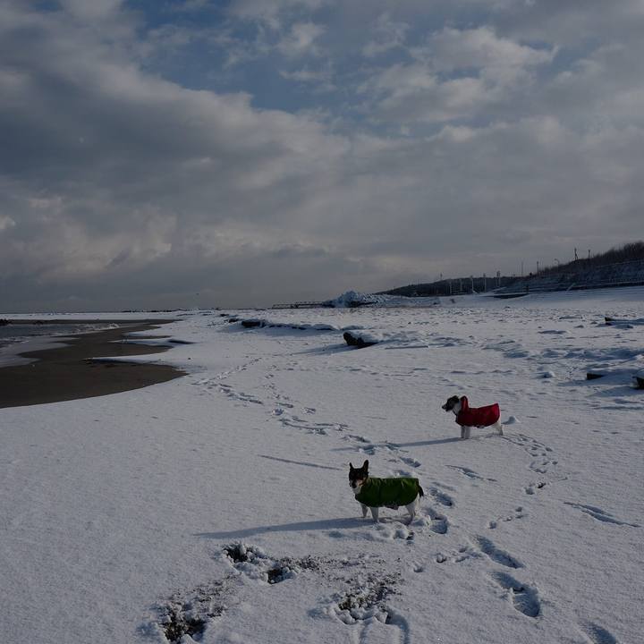 31aa2c83 efc6 44c2 8597 db621a606b7f