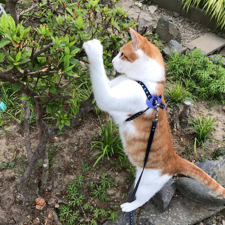 31aa3a33 873f 4106 b69a c4770e329ea0