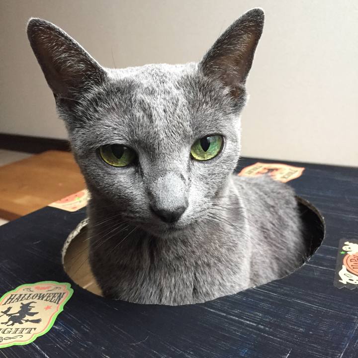 31aa7607 9d47 455a 8749 d19c0b7ce98b