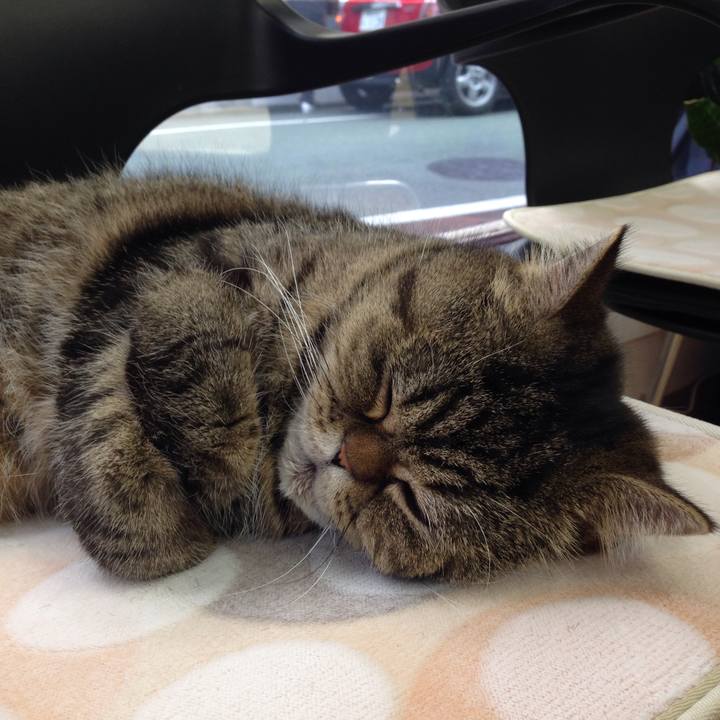 31aaf6b2 ed3e 484e a29d 31b73c592678