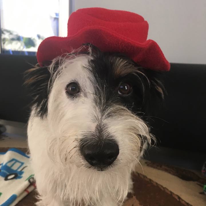 31ac5b08 4670 43df aeaf 843b6c78379d