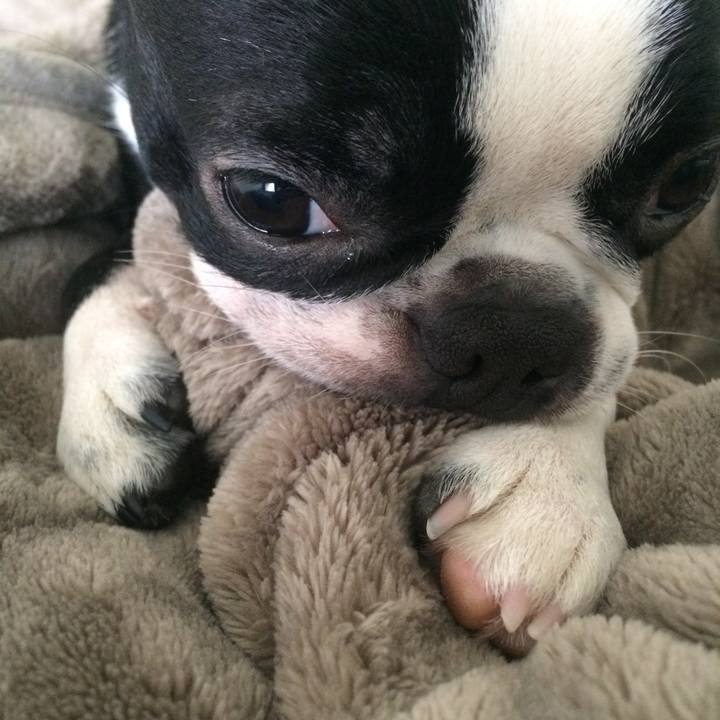 31aca329 a29c 468d 99a2 4fb655bcd2ba