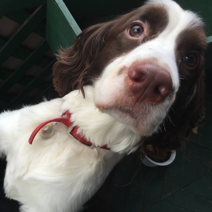 31ad696e b779 42d0 beb8 d4793b9c6b7c