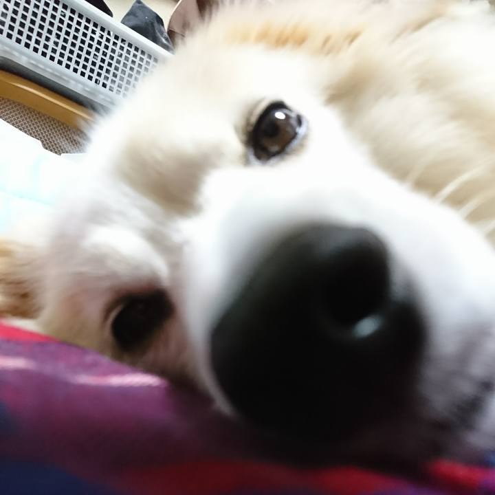 31ae9a3e f18e 4cb7 a684 b965193346eb