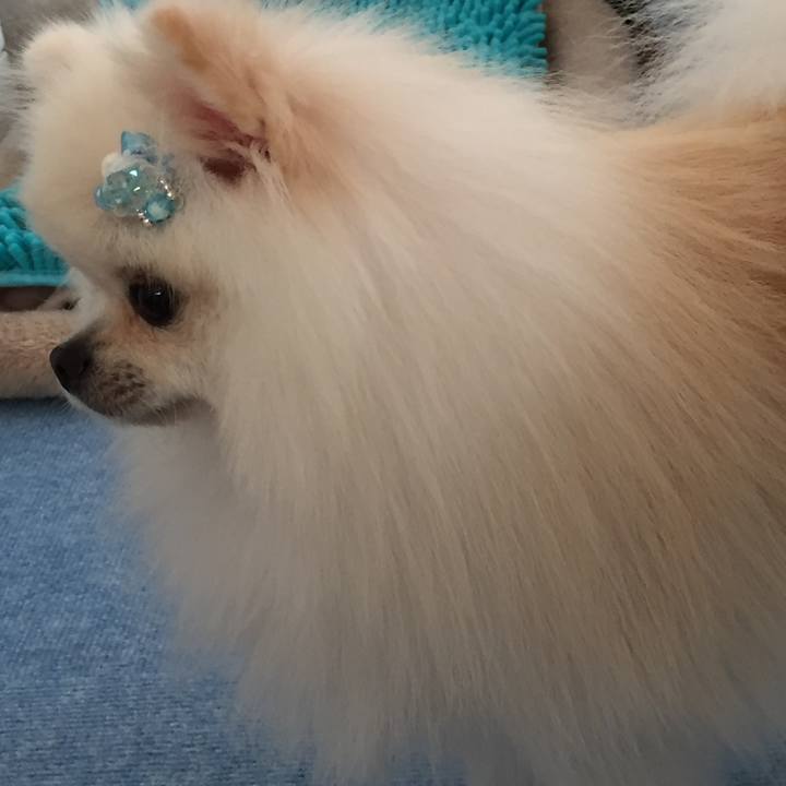 31aea710 7648 4966 bdb6 fe20599b87b9