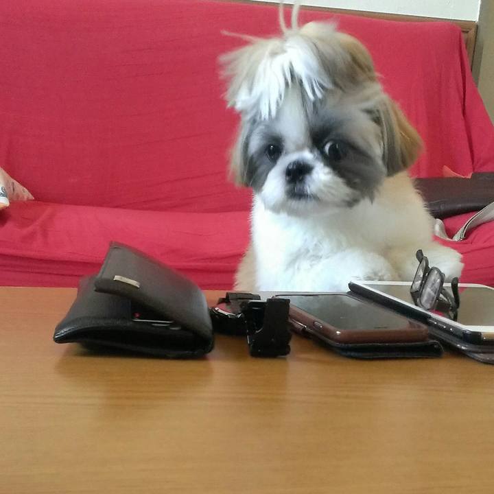 31aed4b1 f047 4904 9cf2 37557fc841f4