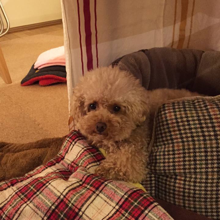 31af7434 8168 42ca 8cae 94221e7ab315