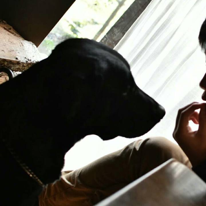 31b07c3c 4880 4b50 965c 3c73d274469c