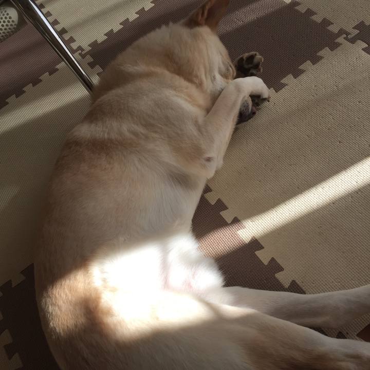 31b132a3 8644 4bdf a0cc 190a7feb00ad