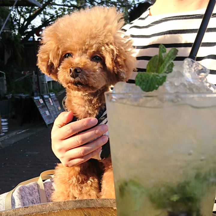 31b157a9 3542 4695 8f2d 2c0f29fd5b3c