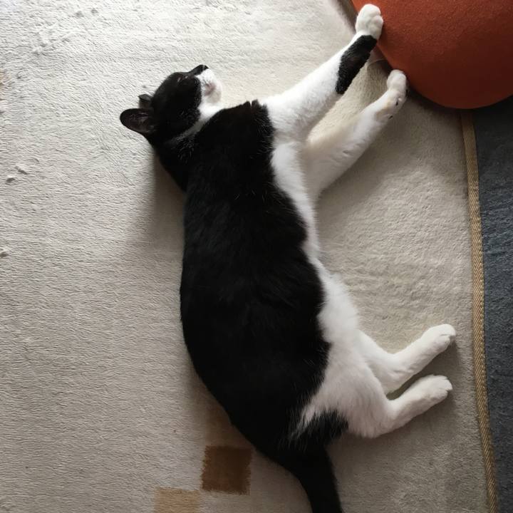 31b24f54 37ca 44b7 b812 552704a21cce