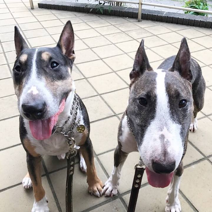 31b279f0 6a3c 4881 a4c2 4cfa5824df49