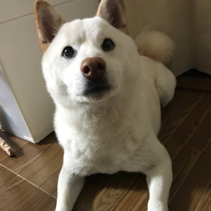 31b30745 1ae2 41ba a58f 7a4fa44b746f