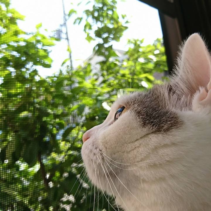 31b32d74 8144 4bef a224 41961dbb58fe