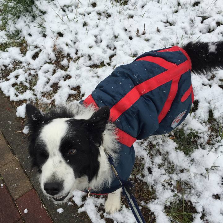 31b33736 522a 423b be19 7678a1363822