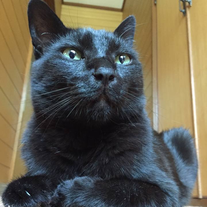 31b37c55 c539 4203 b4c8 268d00f48069