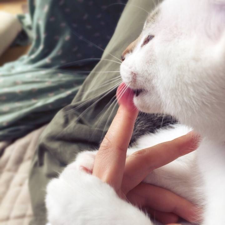 31b443ed 29e9 4378 87da 88c28c499283