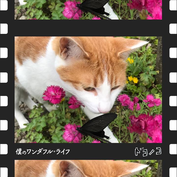 31b44945 0907 45dd acd2 237ce177df0d