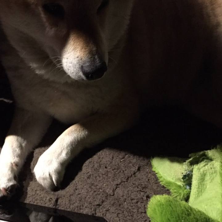 31b461c5 9f5a 42c9 9413 44b9e5beeba1