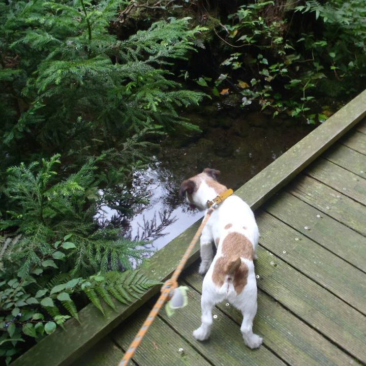 31b466d9 798d 4a0a ac60 7d9d961ca00f