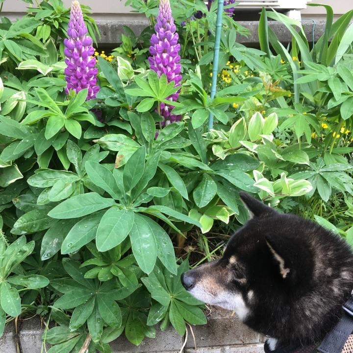 31b47269 da74 4ce5 ad05 dba98d4ac2bc