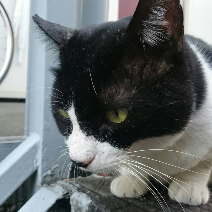 31b4830f d00a 40d7 b009 dafb1ef33198